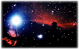 cavallo.gif (30762 bytes)